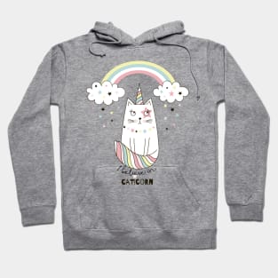 I believe in caticorn Hoodie